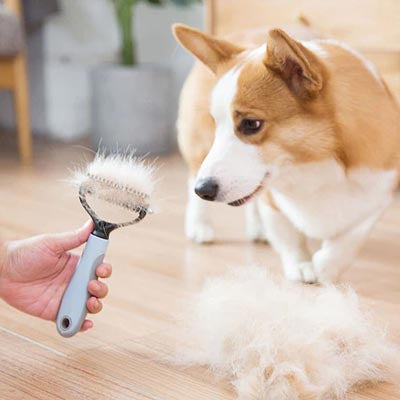 Professional Pet Deshedding Brush Dog