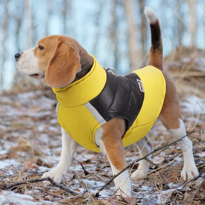 Waterproof Winter Dog Jacket