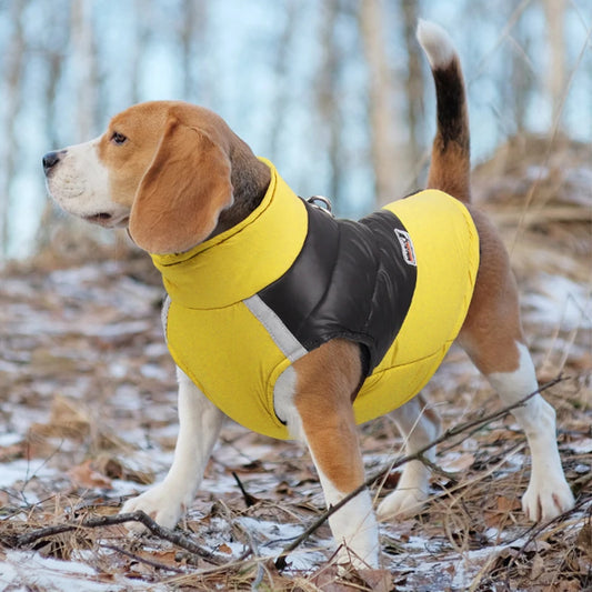 Waterproof Winter Dog Jacket
