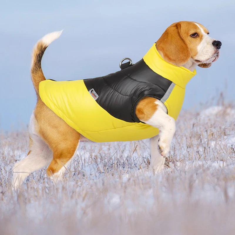 Waterproof Winter Dog Jacket